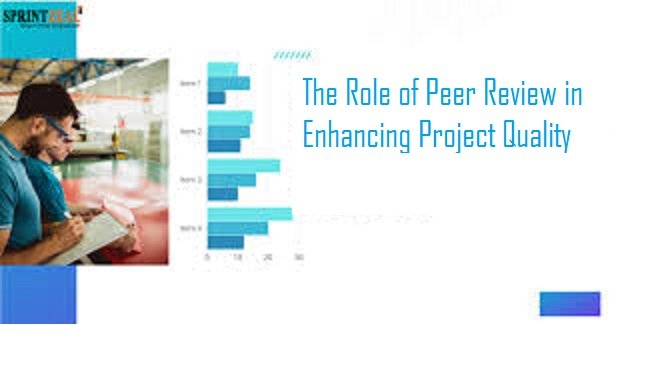 Role of Peer Review in Enhancing Project Quality
